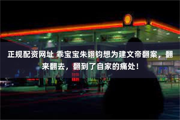 正规配资网址 乖宝宝朱翊钧想为建文帝翻案，翻来翻去，翻到了自家的痛处！