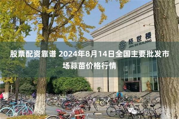 股票配资靠谱 2024年8月14日全国主要批发市场蒜苗价格行情