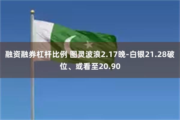 融资融券杠杆比例 图灵波浪2.17晚-白银21.28破位、或看至20.90