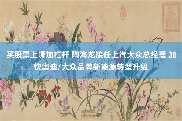 买股票上哪加杠杆 陶海龙接任上汽大众总经理 加快奥迪/大众品牌新能源转型升级