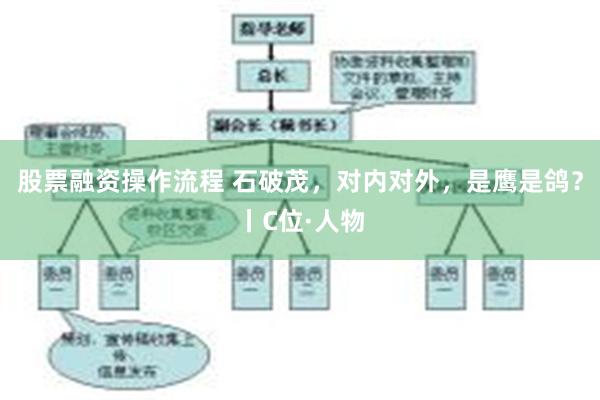 股票融资操作流程 石破茂，对内对外，是鹰是鸽？丨C位·人物