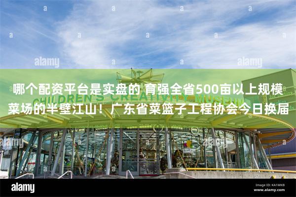 哪个配资平台是实盘的 育强全省500亩以上规模菜场的半壁江山！广东省菜篮子工程协会今日换届