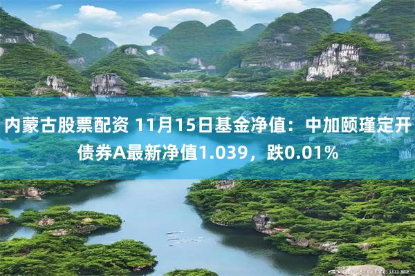 内蒙古股票配资 11月15日基金净值：中加颐瑾定开债券A最新净值1.039，跌0.01%