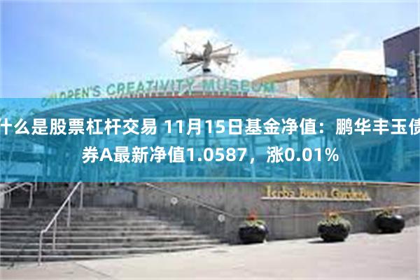 什么是股票杠杆交易 11月15日基金净值：鹏华丰玉债券A最新净值1.0587，涨0.01%