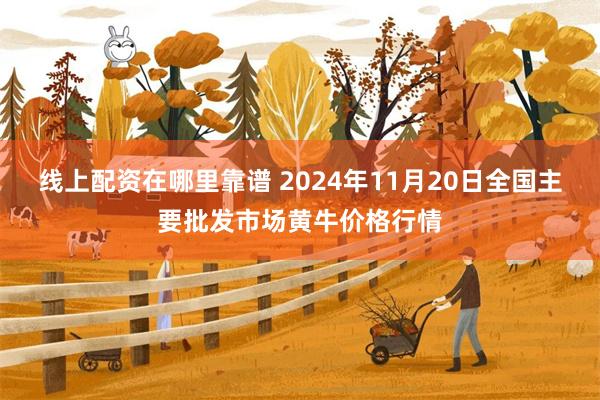 线上配资在哪里靠谱 2024年11月20日全国主要批发市场黄牛价格行情