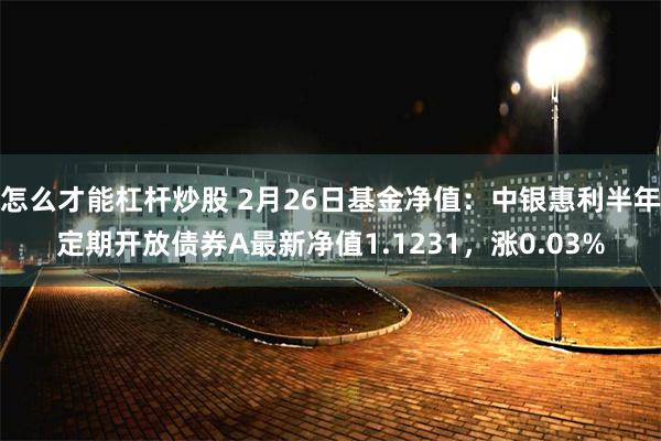 怎么才能杠杆炒股 2月26日基金净值：中银惠利半年定期开放债券A最新净值1.1231，涨0.03%