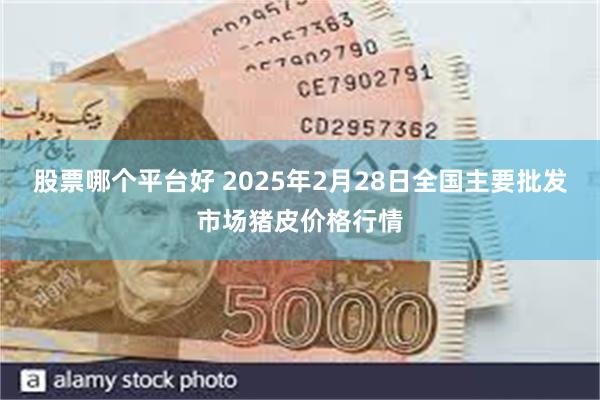 股票哪个平台好 2025年2月28日全国主要批发市场猪皮价格行情